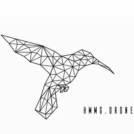 Logo da HMMG DRONE