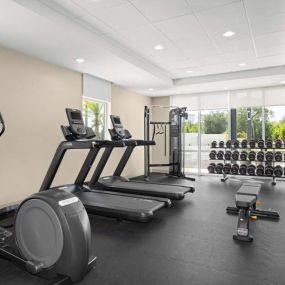 Health club  fitness center  gym