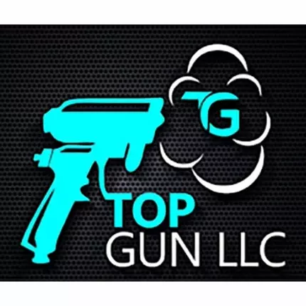 Logo fra Top Gun Services