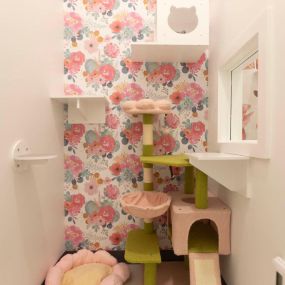 Bild von Cozy Cat Suites