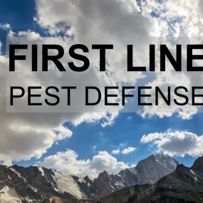 Welcome to FIRST LINE PEST DEFENSE