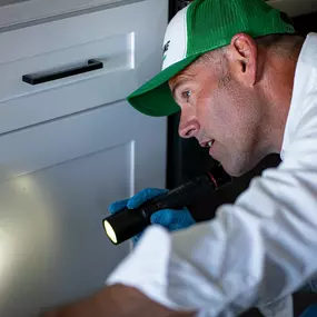 Professional indoor pest inspection targeting areas around kitchen cabinets where pests hide.