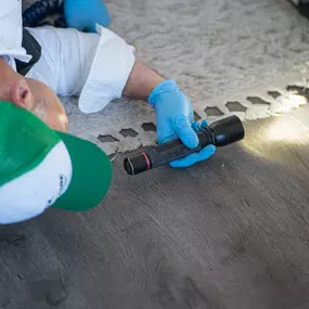 A First Line Pest Defense technician inspecting a hard-to-reach area under furniture with a flashlight during a pest inspection.