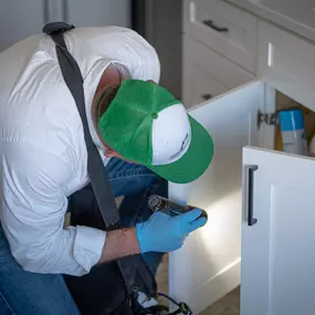 A First Line Pest Defense technician closely inspecting the interior of a kitchen cabinet with a flashlight for pest activity.