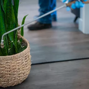 A First Line Pest Defense technician applying pest treatment near a potted plant indoors.