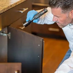 An experienced technician from First Line Pest Defence conducts a meticulous pest inspection within a client's kitchen. Kitchens are primary habitats for pests like ants, cockroaches, and rodents. Our Boise-based team thoroughly examines critical areas, including under sinks and inside cabinets, to identify and resolve infestations, ensuring your food preparation areas are safe and sanitary. We offer comprehensive pest solutions for residential and commercial properties.