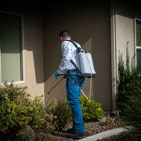 An expert technician from First Line Pest Defence applies a specialized treatment to the eaves of a residential home in the Caldwell, Idaho area. This service is crucial for eliminating and preventing common nesting pests like spiders and wasps. Our comprehensive exterior pest control services provide a complete barrier, ensuring your home is protected and giving you peace of mind.