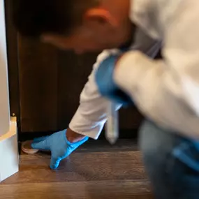 A highly-trained First Line Pest Defense technician provides expert interior pest control services to a home in Boise, ID. With meticulous attention to detail, our expert applies a targeted, family-safe treatment to eliminate and prevent pests. At First Line Pest Defense, we are committed to creating safe, comfortable, and pest-free environments for our residential and commercial clients through our integrity and excellence in service.