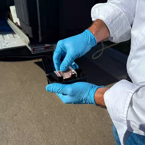 Professional pest control baiting for effective rodent and insect management by First Line Pest Defense.