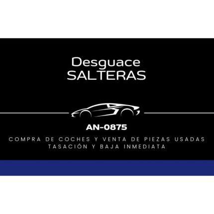 Logo von Desguace TS
