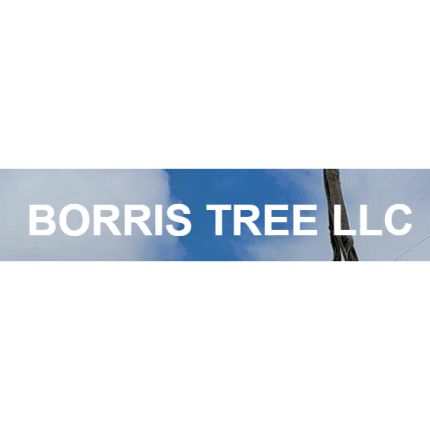 Logo od Borris Tree LLC
