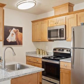 Kitchen at Millennium Park