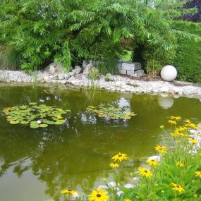 Bild von Andreas Grupp Landschafts- und Gartengestaltung