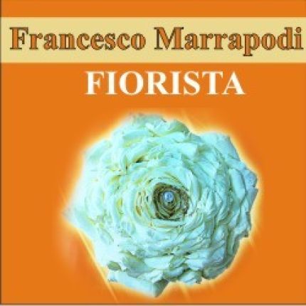 Logo van Marrapodi Francesco Fiorista