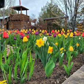 Bild von Glenwood Caverns Adventure Park