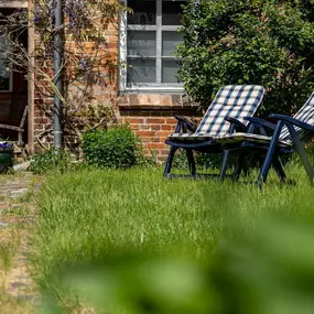 Bild von Urlaub an der Müritz - AllerleiMeer