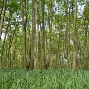 Bild von Urlaub an der Müritz - AllerleiMeer