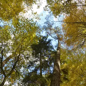 Bild von Urlaub an der Müritz - AllerleiMeer