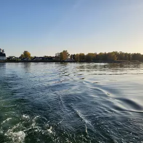 Bild von Urlaub an der Müritz - AllerleiMeer