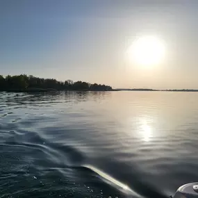 Bild von Urlaub an der Müritz - AllerleiMeer