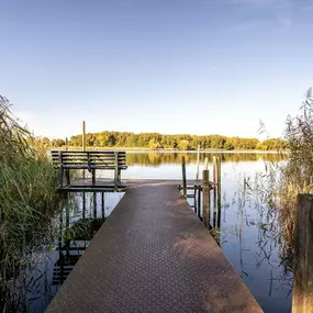 Bild von Urlaub an der Müritz - AllerleiMeer