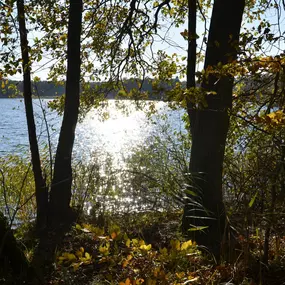 Bild von Urlaub an der Müritz - AllerleiMeer