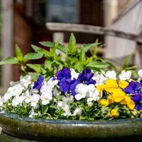 Bild von Ferienhausverwaltung & Vermietung AllerleiMeer