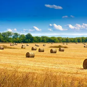 Bild von Ferienhausverwaltung & Vermietung AllerleiMeer