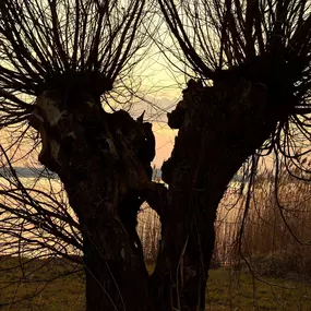 Bild von Ferienhausverwaltung & Vermietung AllerleiMeer