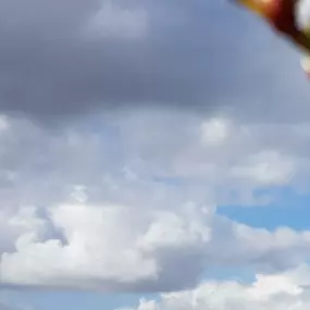 Bild von Ferienhausverwaltung & Vermietung AllerleiMeer