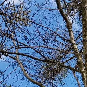 Bild von Ferienhausverwaltung & Vermietung AllerleiMeer