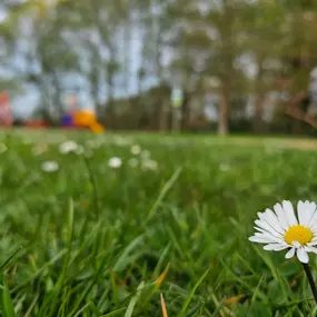 Bild von Ferienhausverwaltung & Vermietung AllerleiMeer