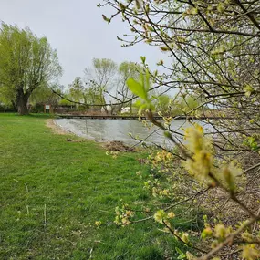 Bild von Ferienhausverwaltung & Vermietung AllerleiMeer