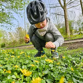 Bild von Ferienhausverwaltung & Vermietung AllerleiMeer