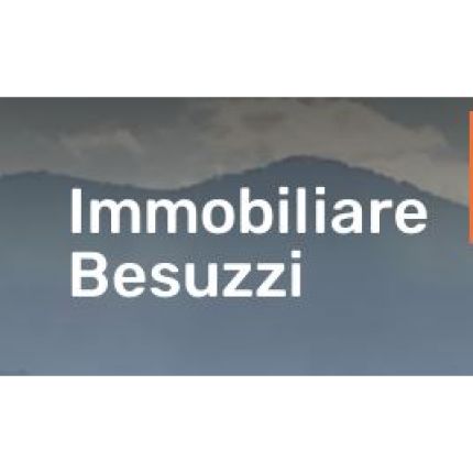 Logo de Agenzia Immobiliare Besuzzi
