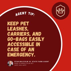 It’s National Pet Fire Safety Day! To prepare your pets for emergencies, keep leashes, carriers, and go-bags easily accessible. Practice your evacuation plan regularly to help them feel comfortable with it.
