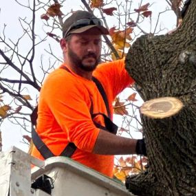 S&P Tree Professionals is your trusted local tree service provider, serving the community with pride. Our team understands the unique needs of the area, and our commitment to quality and customer satisfaction sets us apart. Count on us for prompt and professional tree care solutions to meet your specific requirements.