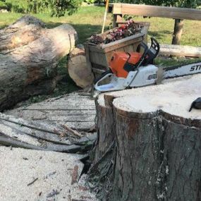 S&P Tree Professionals offers reliable tree removal services to address your tree-related concerns. Our experienced team is dedicated to safely and efficiently removing trees from your property, ensuring your safety and preserving the aesthetics of your landscape.