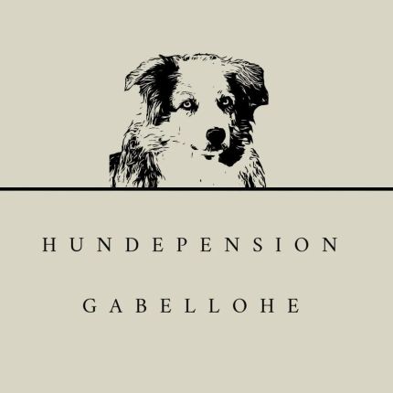 Logo van Hundepension Gabellohe