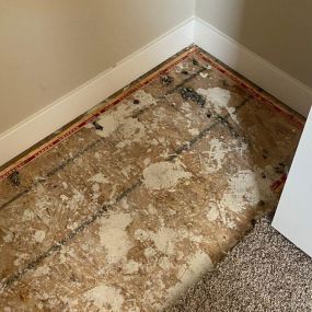 Pictured here is Trade Lake Wisconsin water damage in a basement closet.  As you can see in the picture, this caused mold to grow on the subflooring and under the carpet.