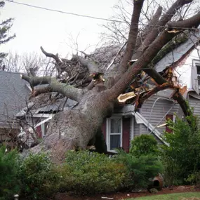 Pictured here is Luck Wisconsin water damage caused by wind and storm damage.  As this picture shows, a tree fell on the front of the house and damaged the home’s framing and roof.