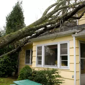 Pictured here is Luck Wisconsin water damage caused by storm and wind damage.  As this picture shows, a tree fell on the front of the house and damaged the roof and gutters.