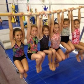 Bild von Northeast Institute of Gymnastics Inc