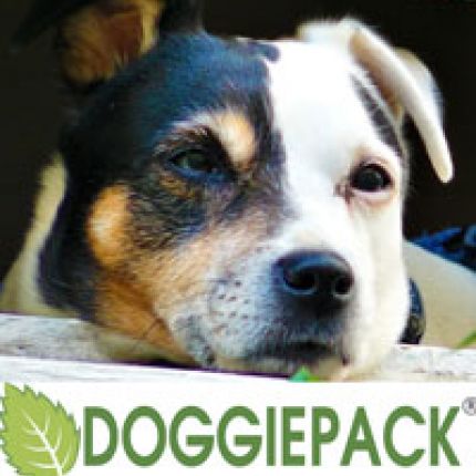 Logo da Doggiepack GmbH & Co. KG