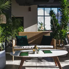 Bild von Daintree