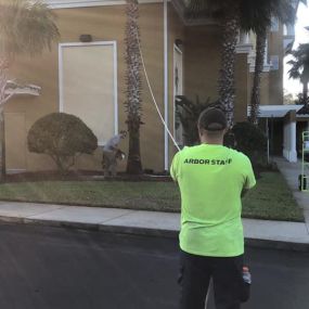 Paradise Arbor & Outdoors expert team performing comprehensive tree care services, including tree trimming, pruning, and removal, ensuring healthy, beautiful landscapes and enhanced curb appeal for residential and commercial properties in the local community serving Deland, Fl and Volusia County.