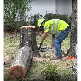 Bild von SAS Tree Service