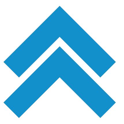 Logotyp från Level Up Pipeline
