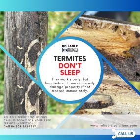 Bild von Reliable Termite Solutions