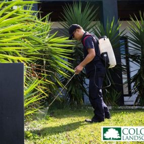 Tick spraying service by Colonel Landscaping